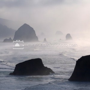 Fog and Light - Ecola State Park View