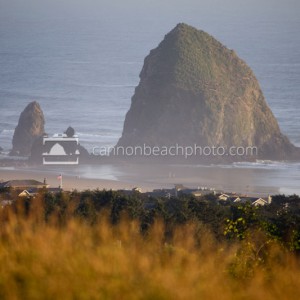Haystack Rock from a Distance