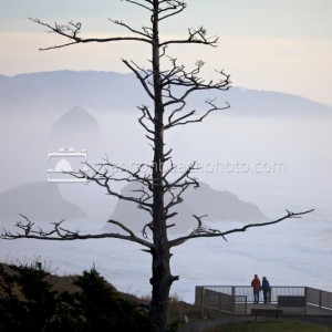 Simply the best view on the Oregon Coast, even on a foggy day
