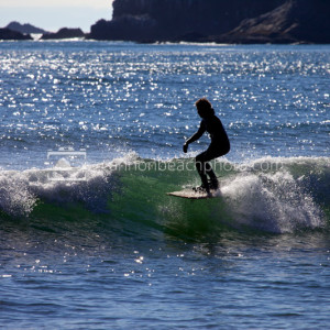 Surfing the Waves, Oregon Coast