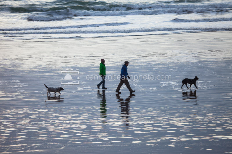 Dog Walk, Oregon Coast Beach