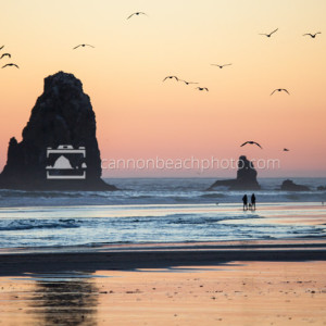 Seagulls Flight Over The Needles, Oregon Coast Sunset 2