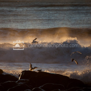 Seagulls Flying with Golden Waves Crashing