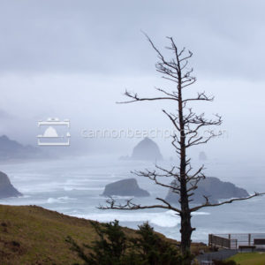 Foggy Cannon Beach from Ecola State Park