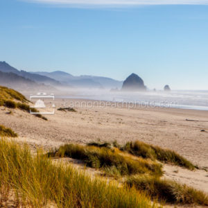 Sunny View South of Cannon Beach