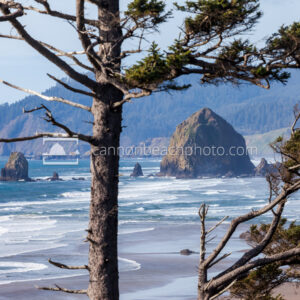 Haystack Rock Framed by the Trees
