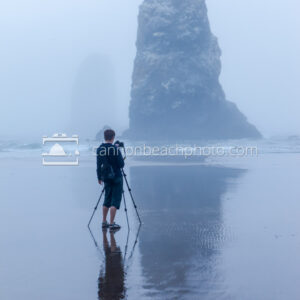 Photographing the Needles in the Fog, Vertical