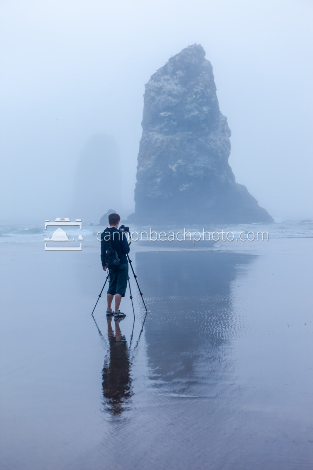Photographing the Needles in the Fog, Vertical