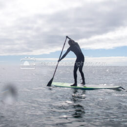 Young Man Paddleboarding on the Pacific Ocean