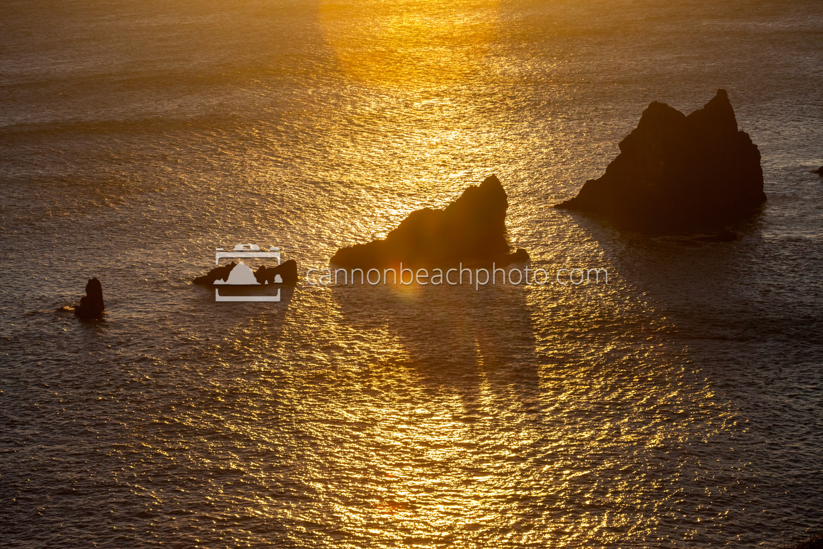 Sea Lion Rocks in Golden Sunlight