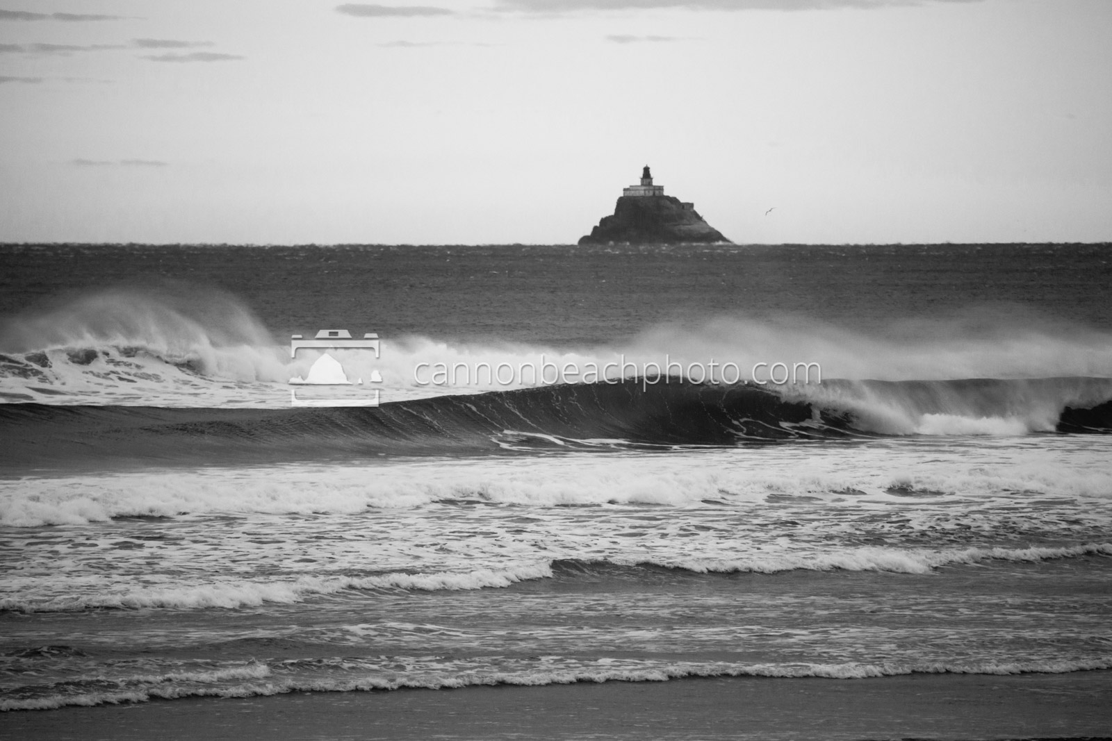 Tillamook Lighthouse and Wave Curl, Black and White