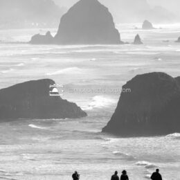Ecola State Park Viewpoint in Black and White