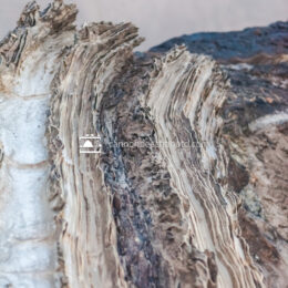 Jagged Rock Texture Vertical