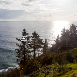 Pacific Ocean Clifftop View