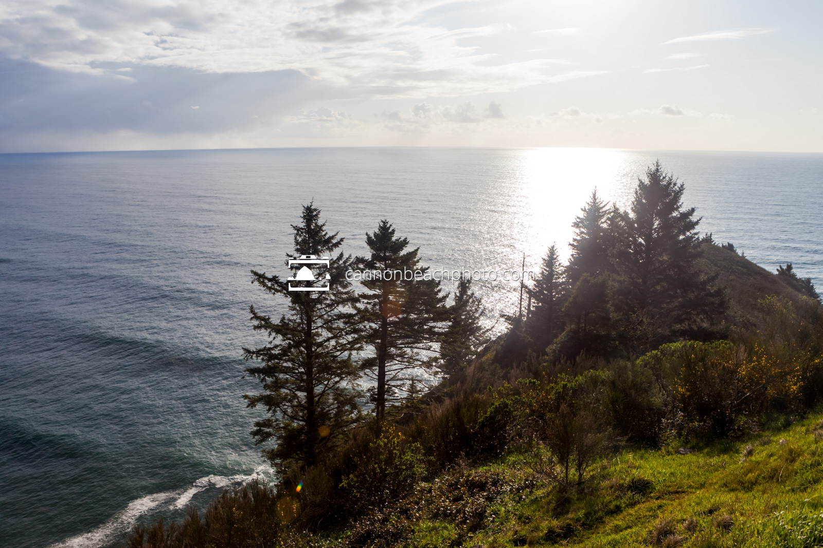 Pacific Ocean Clifftop View