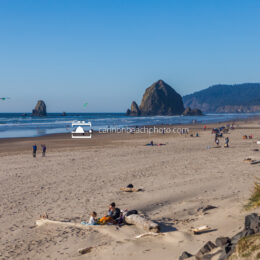 Busy Beach on a Spring Day in Cannon Beach 1
