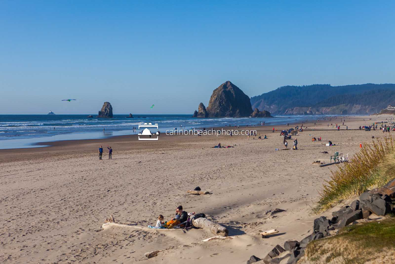 Busy Beach on a Spring Day in Cannon Beach 1